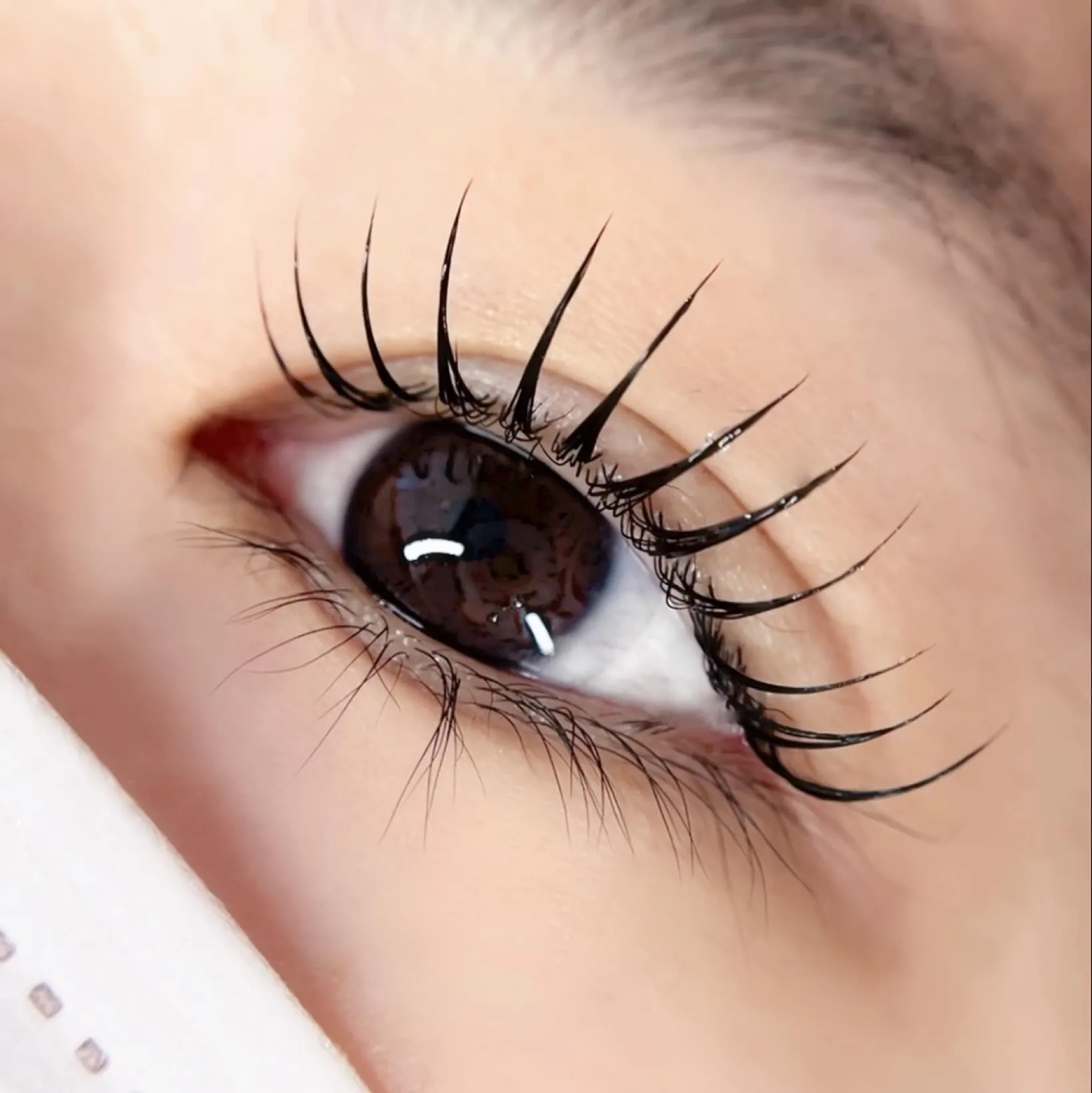 Lash Lift♪