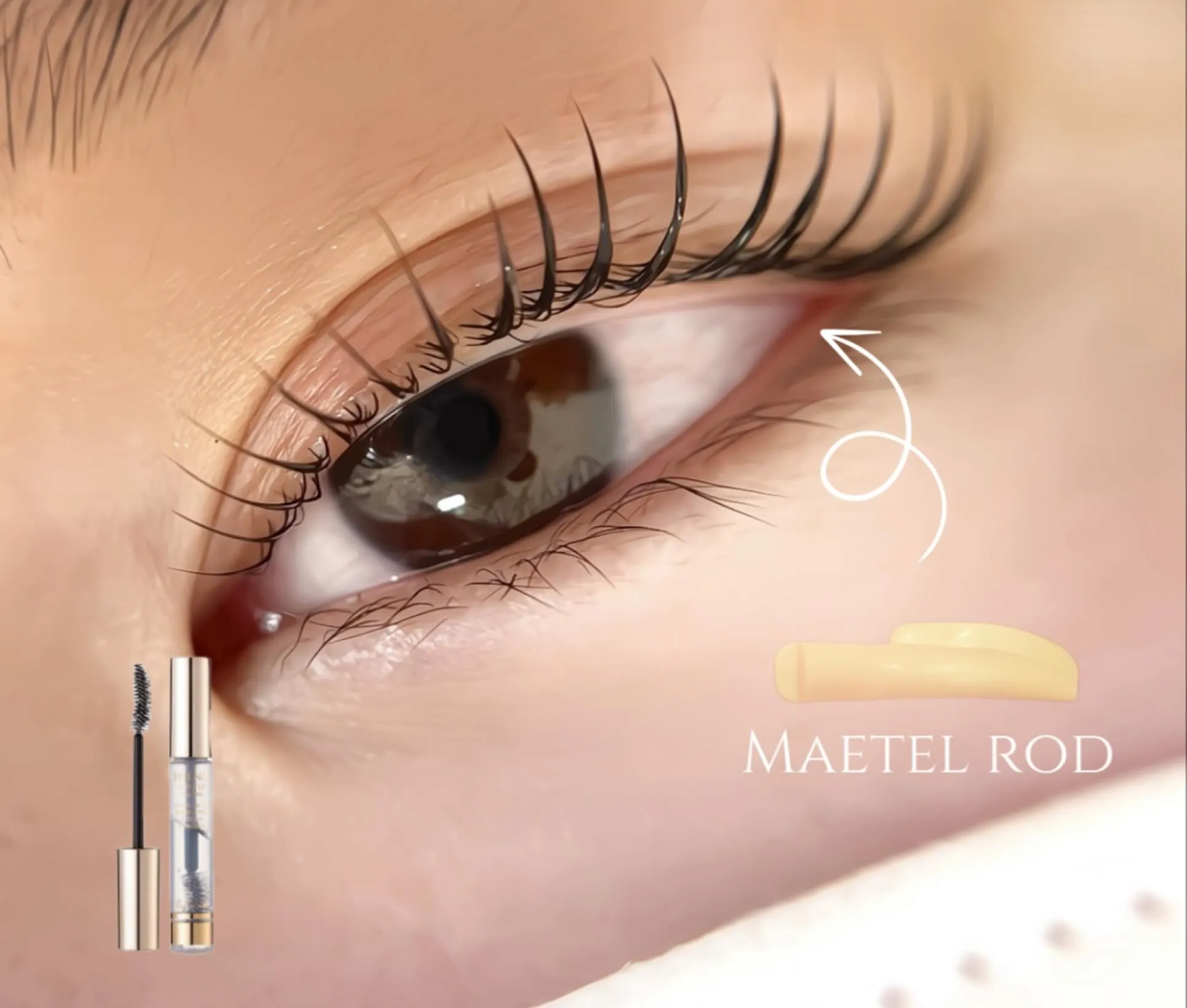 Lash Lift ♪