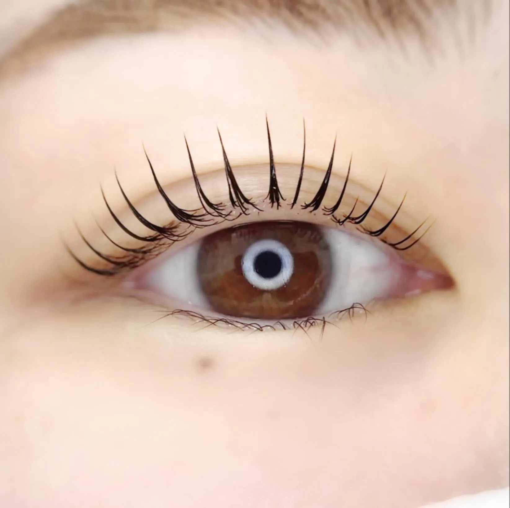 Lash Lift♪